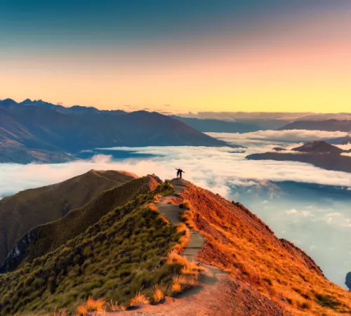 Indulgent Charms of New Zealand